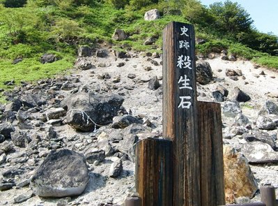 狐