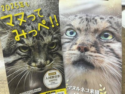 どうぶつ王国